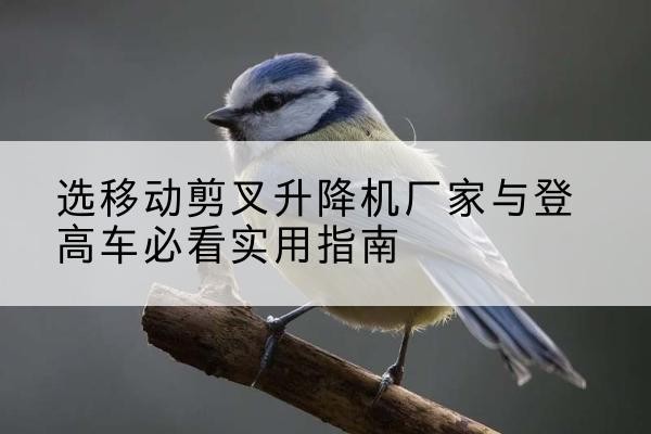 平顶山电动升降机厂家-选移动剪叉升降机厂家与登高车必看实用指南