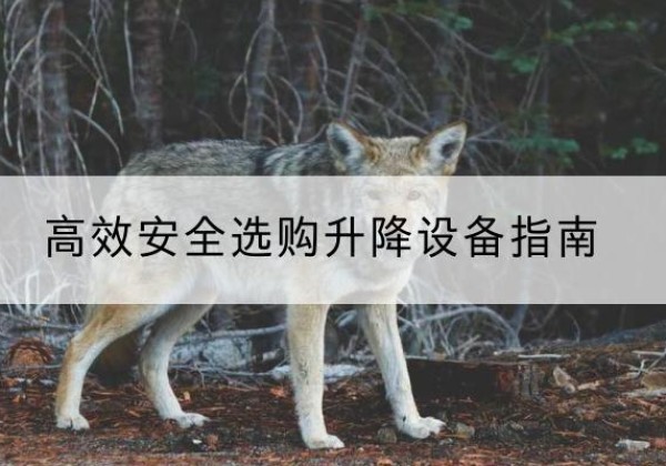 平顶山升降货梯厂家推荐-*安全选购升降设备指南